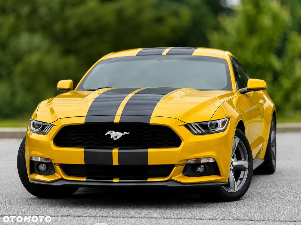 Ford Mustang 3.7 V6 - 11