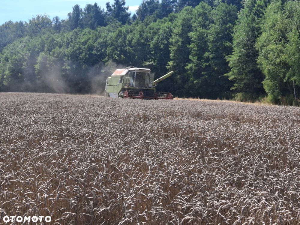 Claas Dominator 96 - 22
