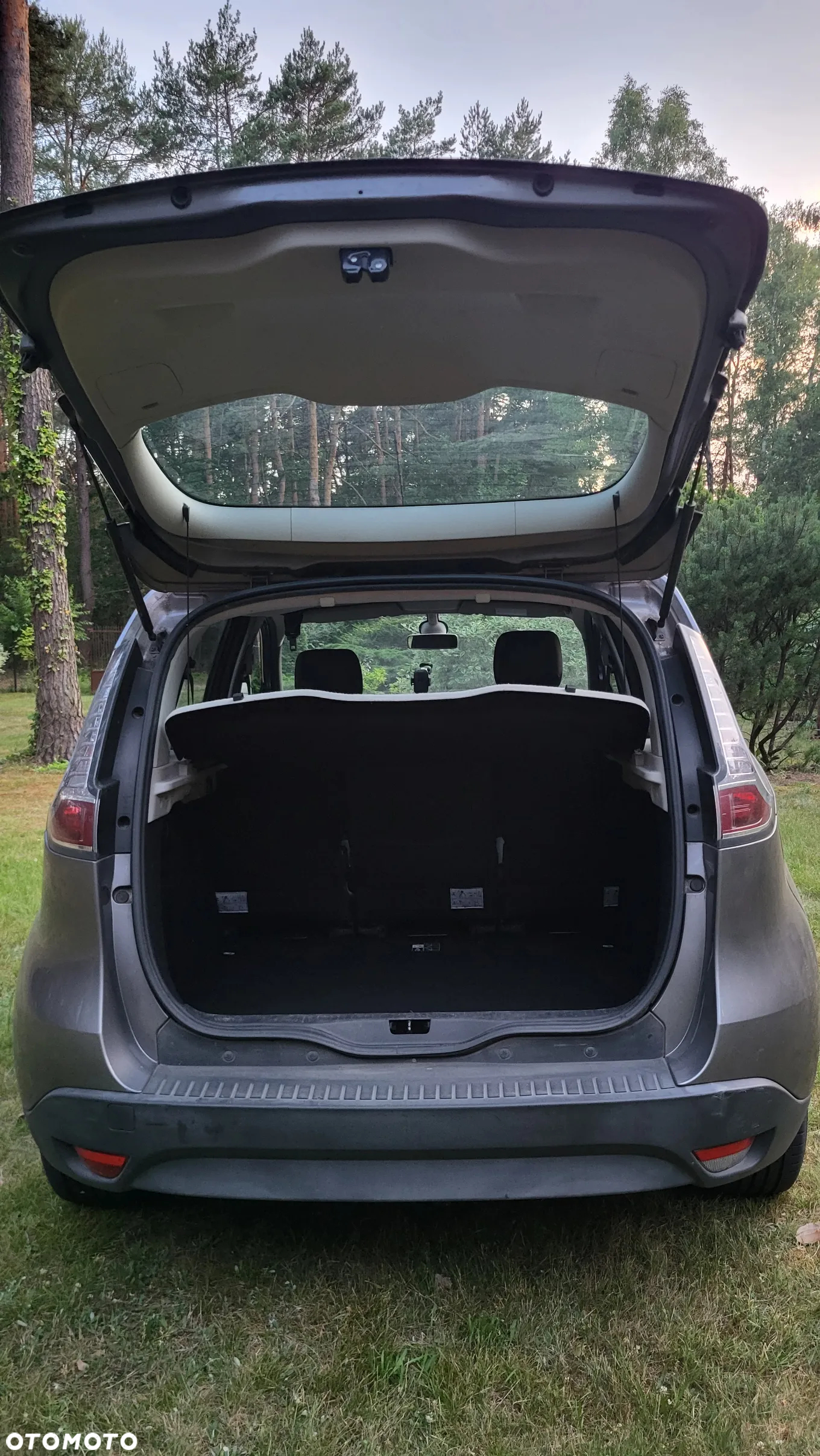 Renault Scenic - 4