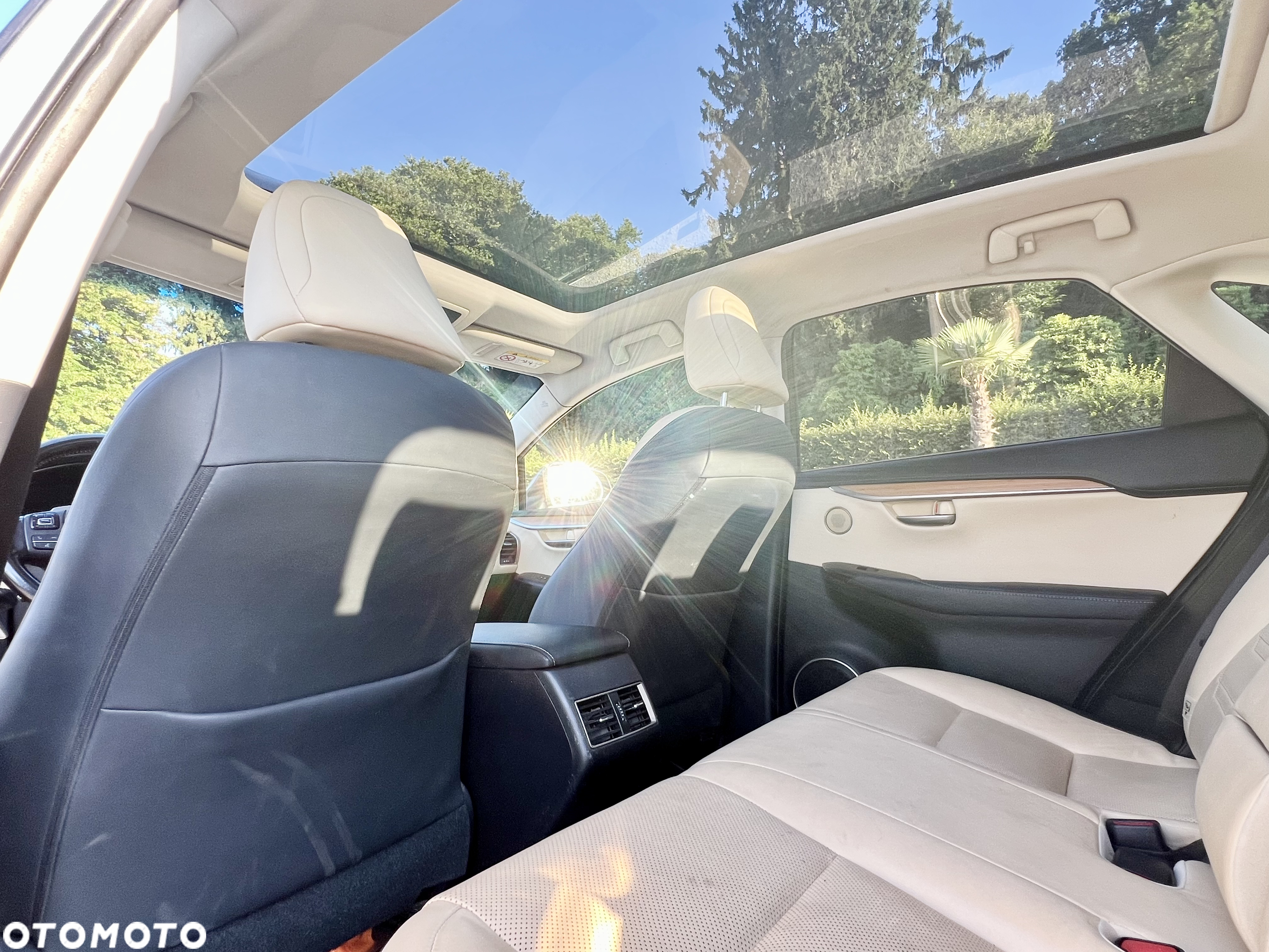 Lexus NX 300h Prestige AWD - 6