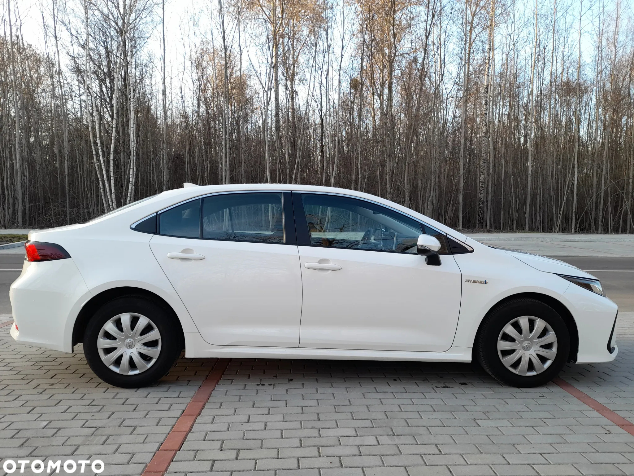 Toyota Corolla 1.8 Hybrid Active - 6