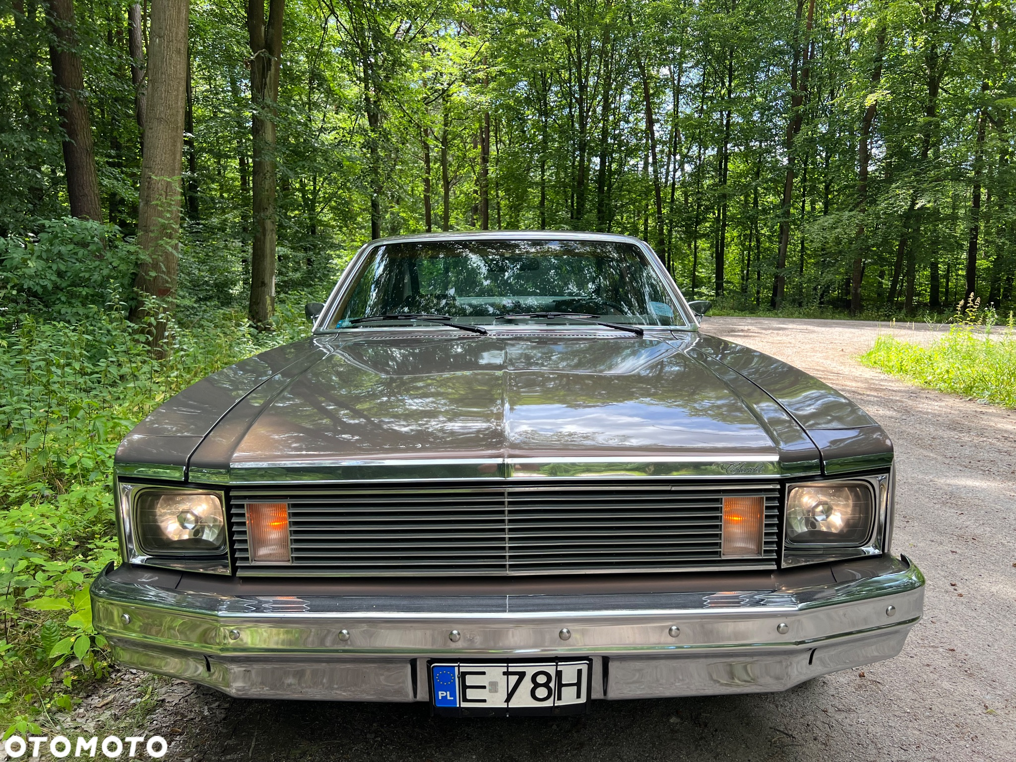 Chevrolet Nova - 13