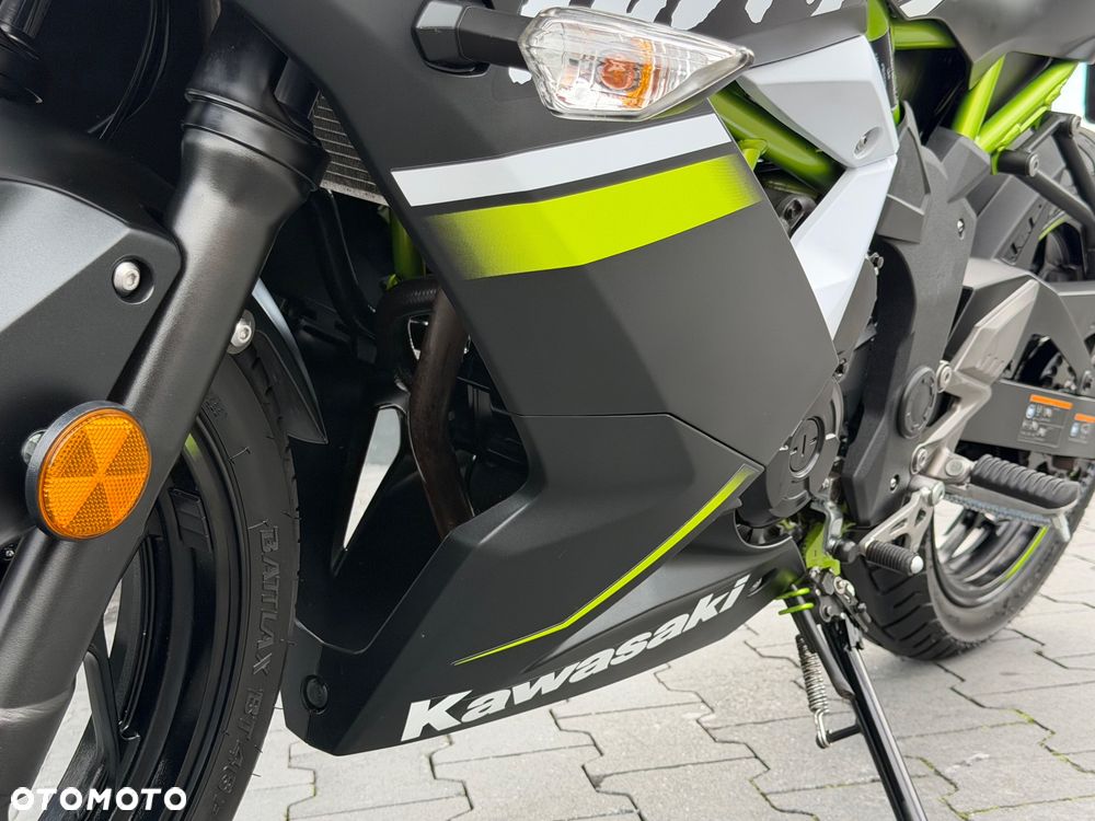 Kawasaki Ninja - 37