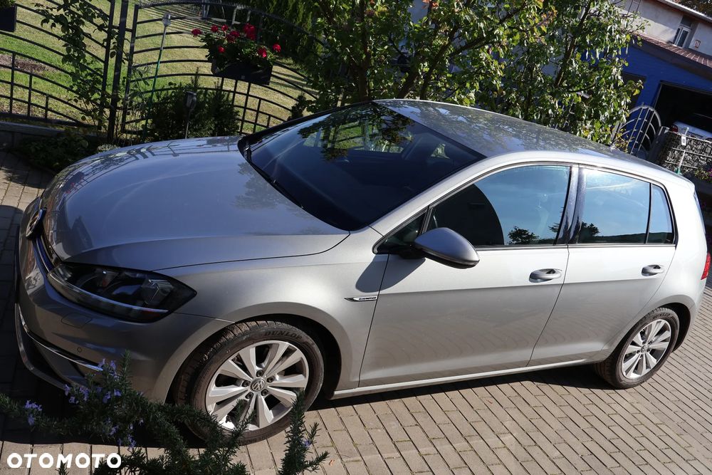 Volkswagen Golf 2019 photo 3