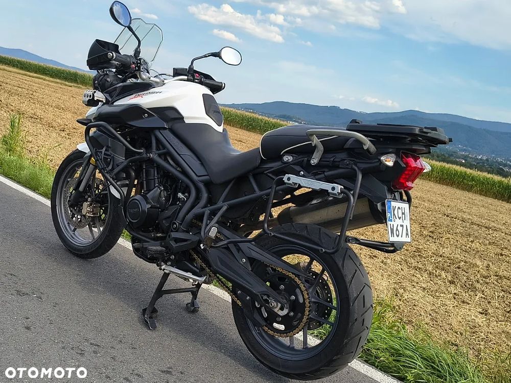 Triumph Tiger - 19