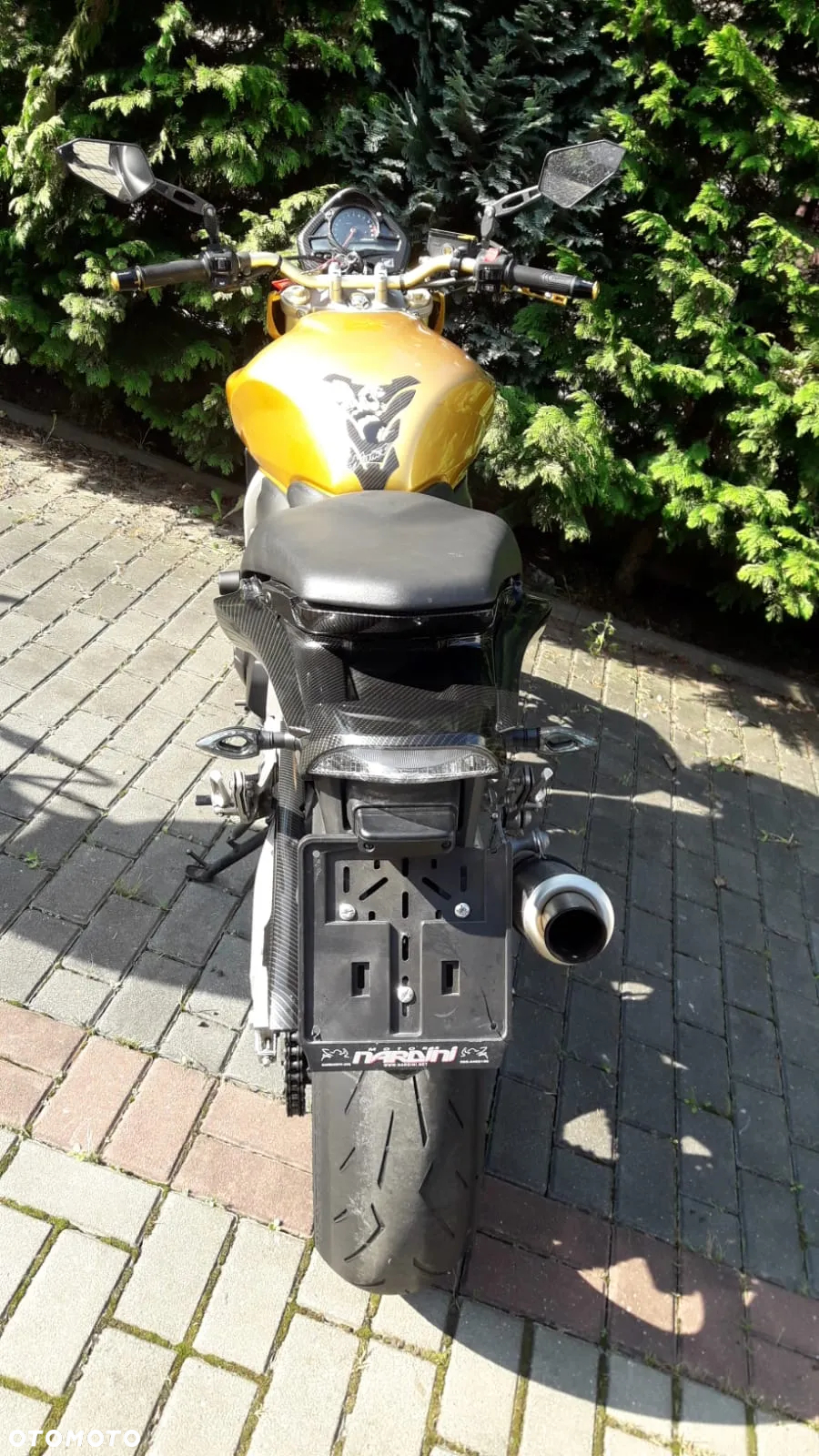 Honda Hornet - 11