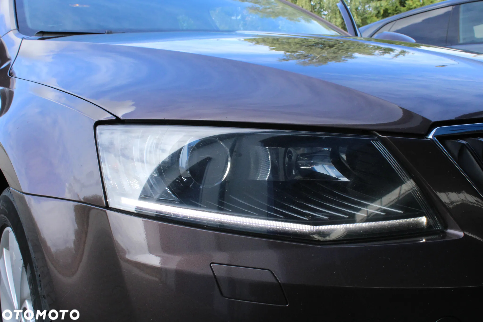 Skoda Octavia - 30