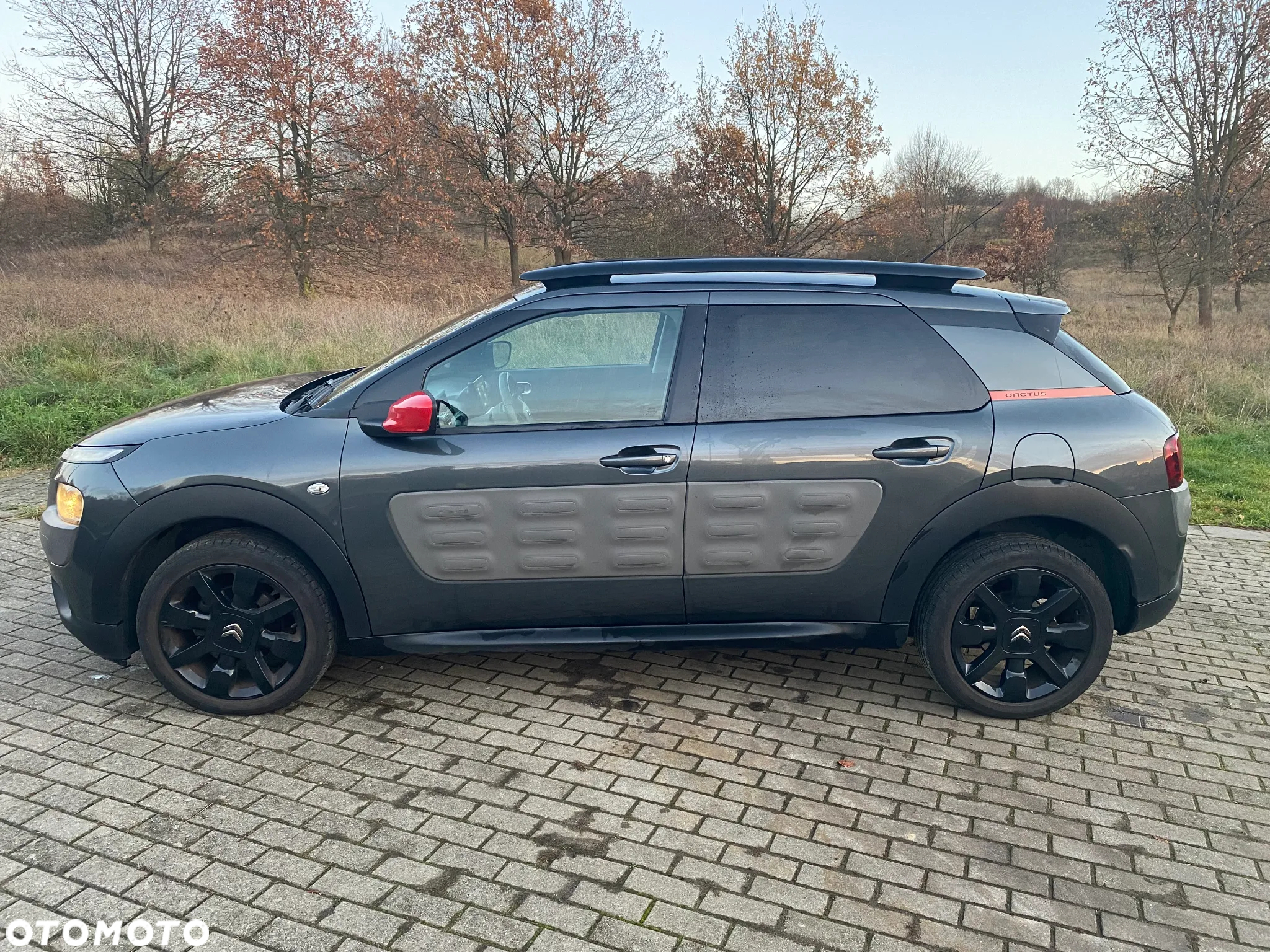 Citroën C4 Cactus 1.6 Blue HDi Shine - 2