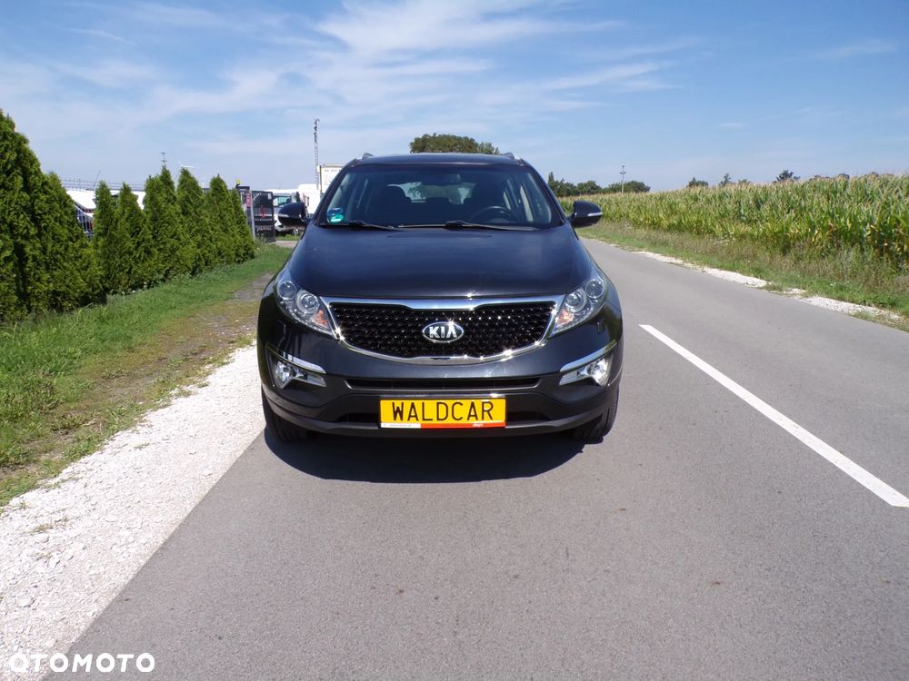 Kia Sportage - 1