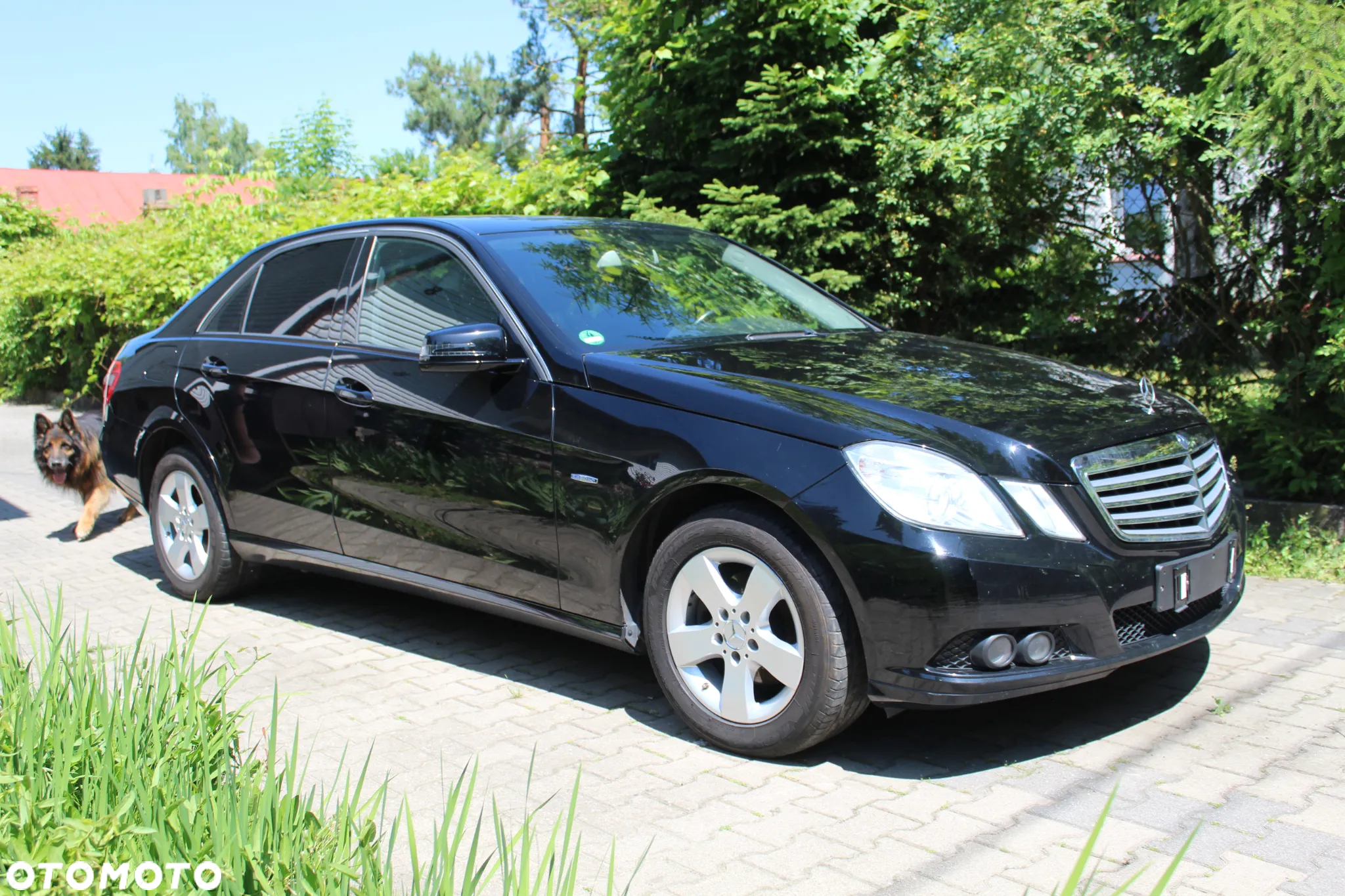 Mercedes-Benz Klasa E 200 CDI BlueEff - 17