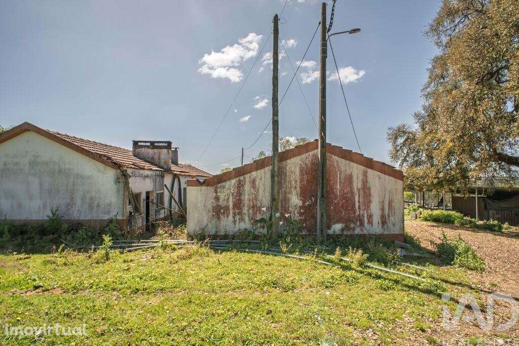 Terreno em Souto da Carpalhosa e Ortigosa de 161861,00 m2 - Grande imagem: 5/17