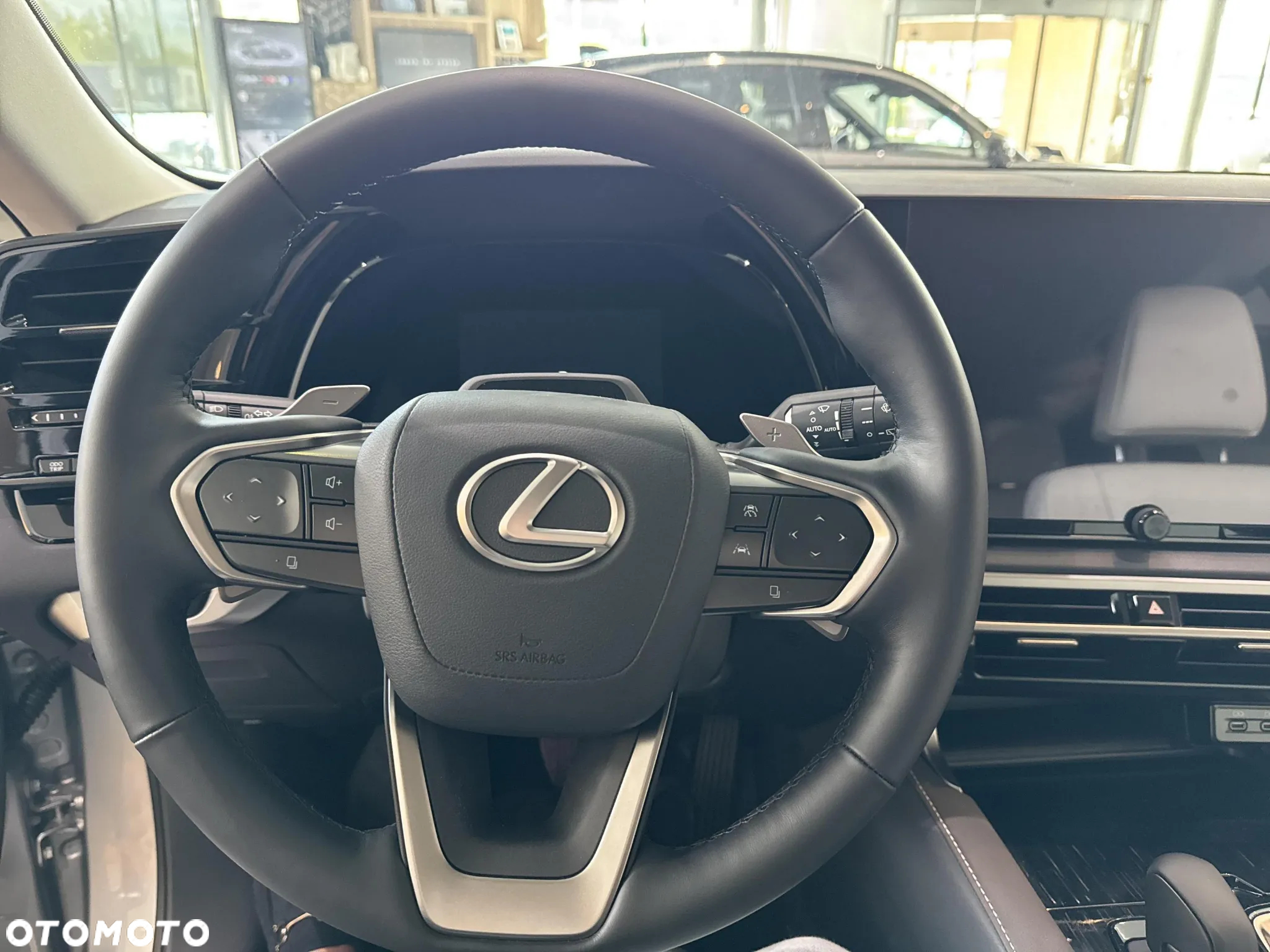 Lexus RX - 16