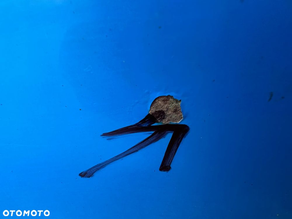 OPEL CORSA C Klapa tylna tył szyba klapy zamek wycieraczka kpl. - 4