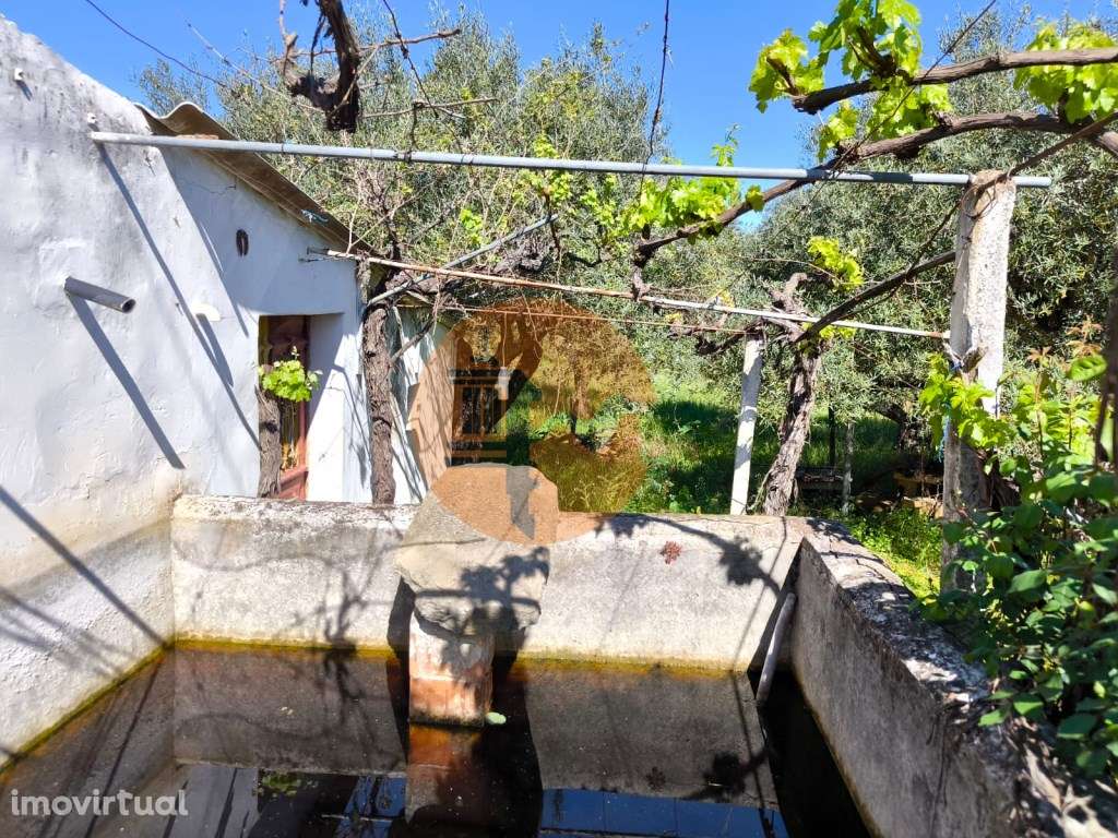 Terreno em Alcoutim, muito perto do Rio Guadiana, com viabilidade d... - Grande imagem: 3/15