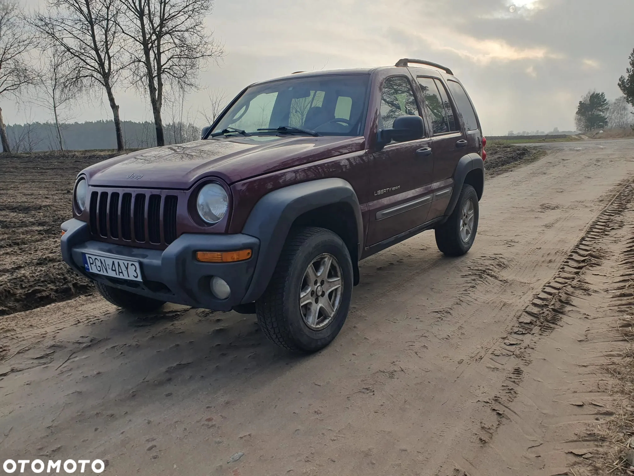 Jeep Liberty 3.7 4x4 - 2