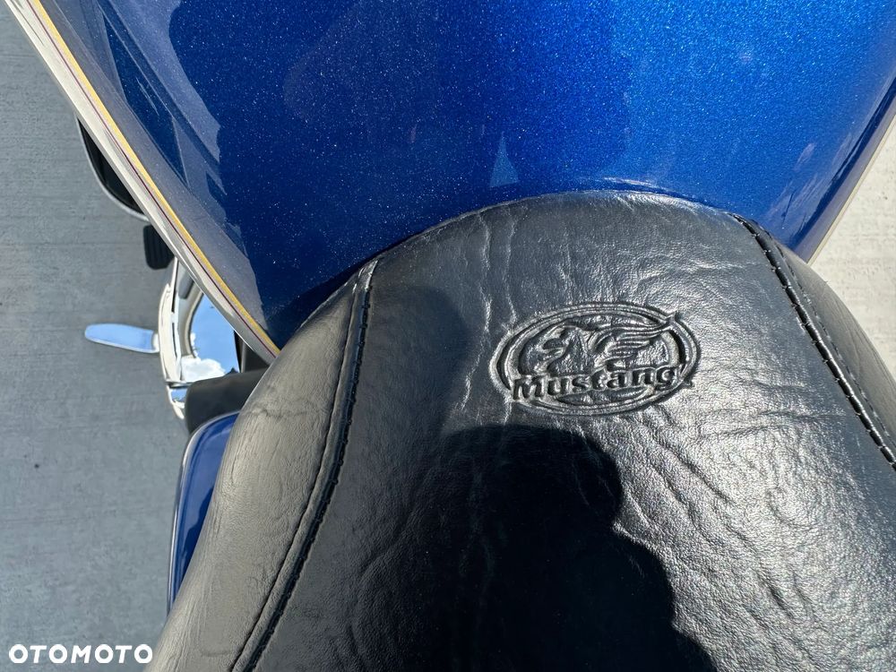 Kawasaki Vulcan - 21