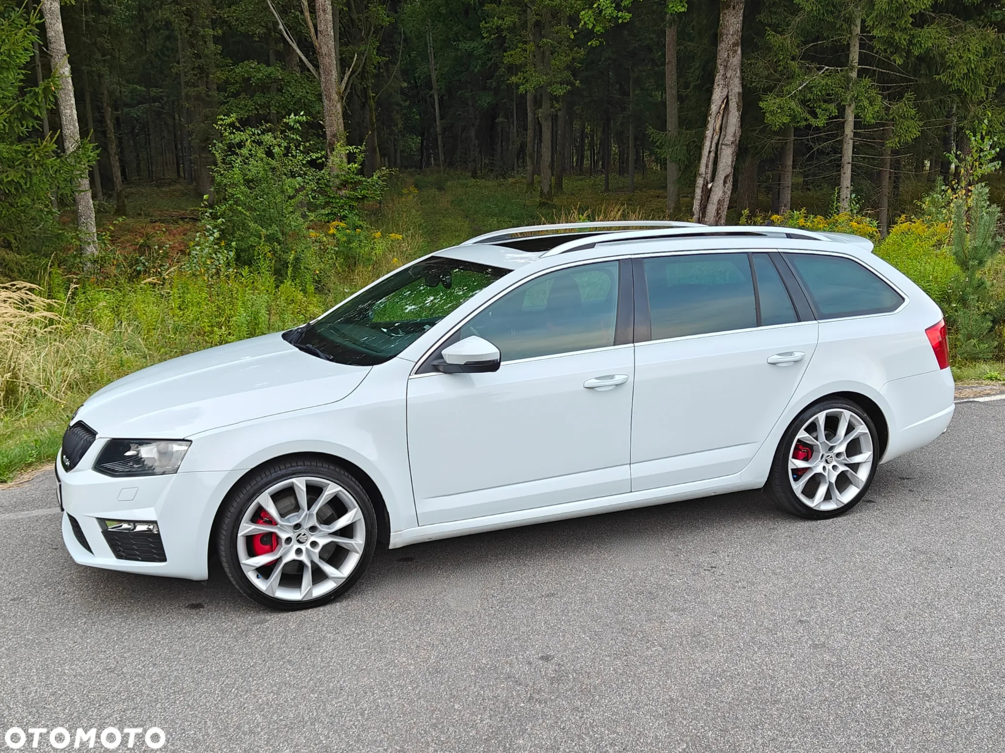 Skoda Octavia Combi 2.0 TSI (Green tec) DSG RS - 6