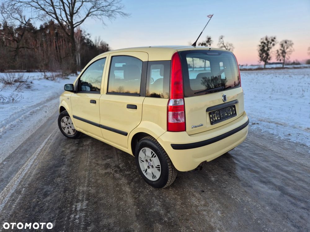 Fiat Panda - 2