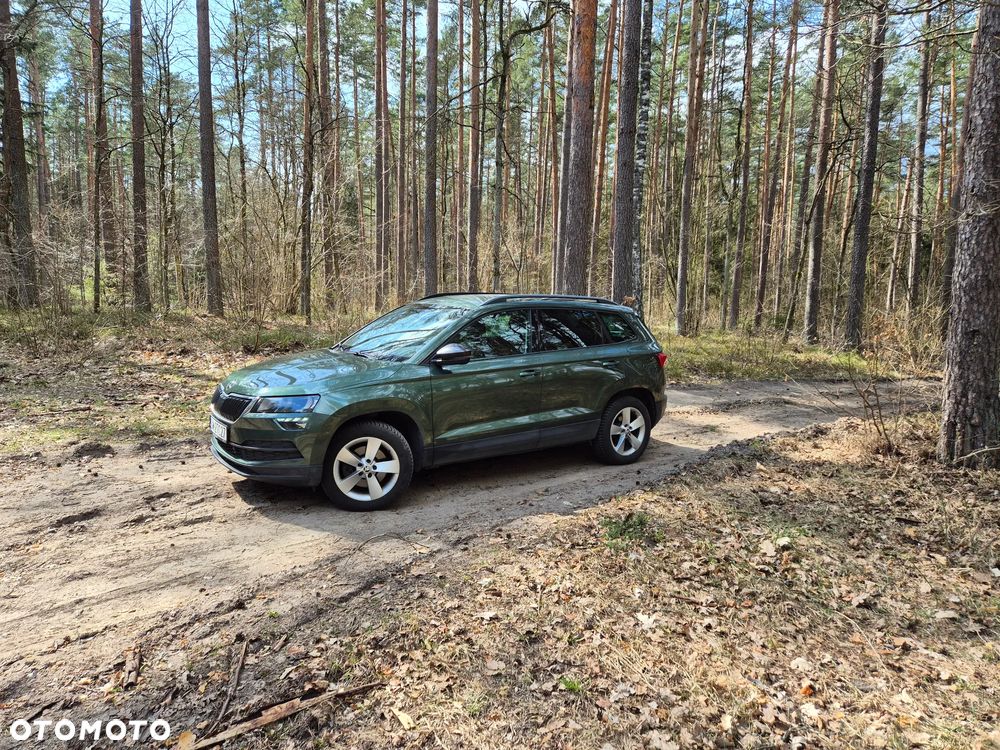 Skoda Karoq 2.0 TDI SCR 4x4 Ambition DSG - 5