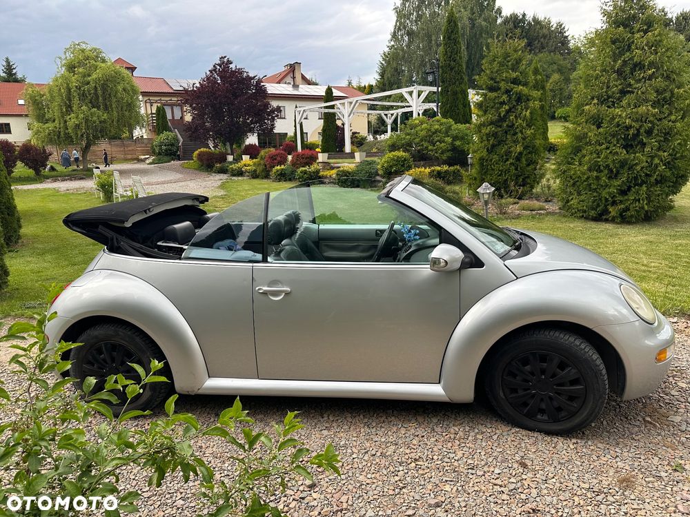 Volkswagen Beetle - 18