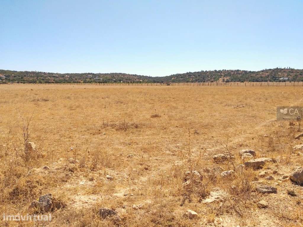 Terreno rústico com 8.980m², situado em Várzea do Poço da Figueira,... - Grande imagem: 4/4