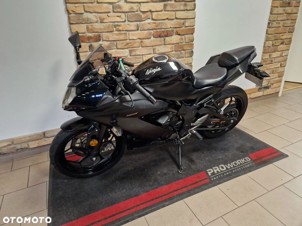 Kawasaki Ninja - 6