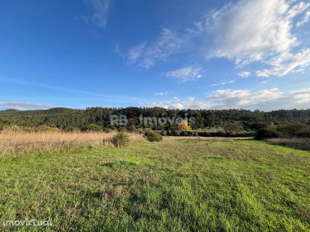 3 x Terrenos Rústicos - Tomar - Grande imagem: 3/29