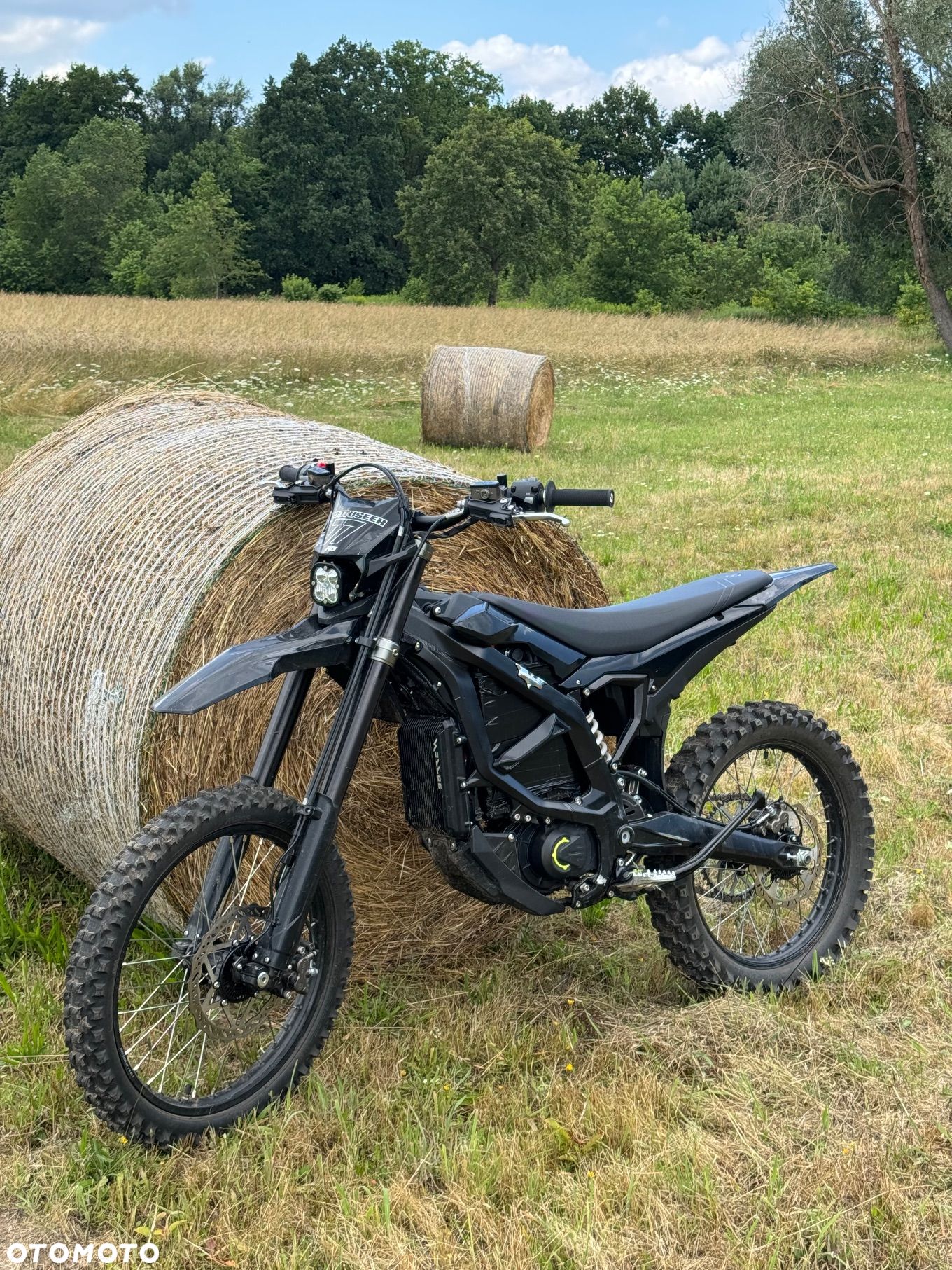 Surron Ultra-Bee