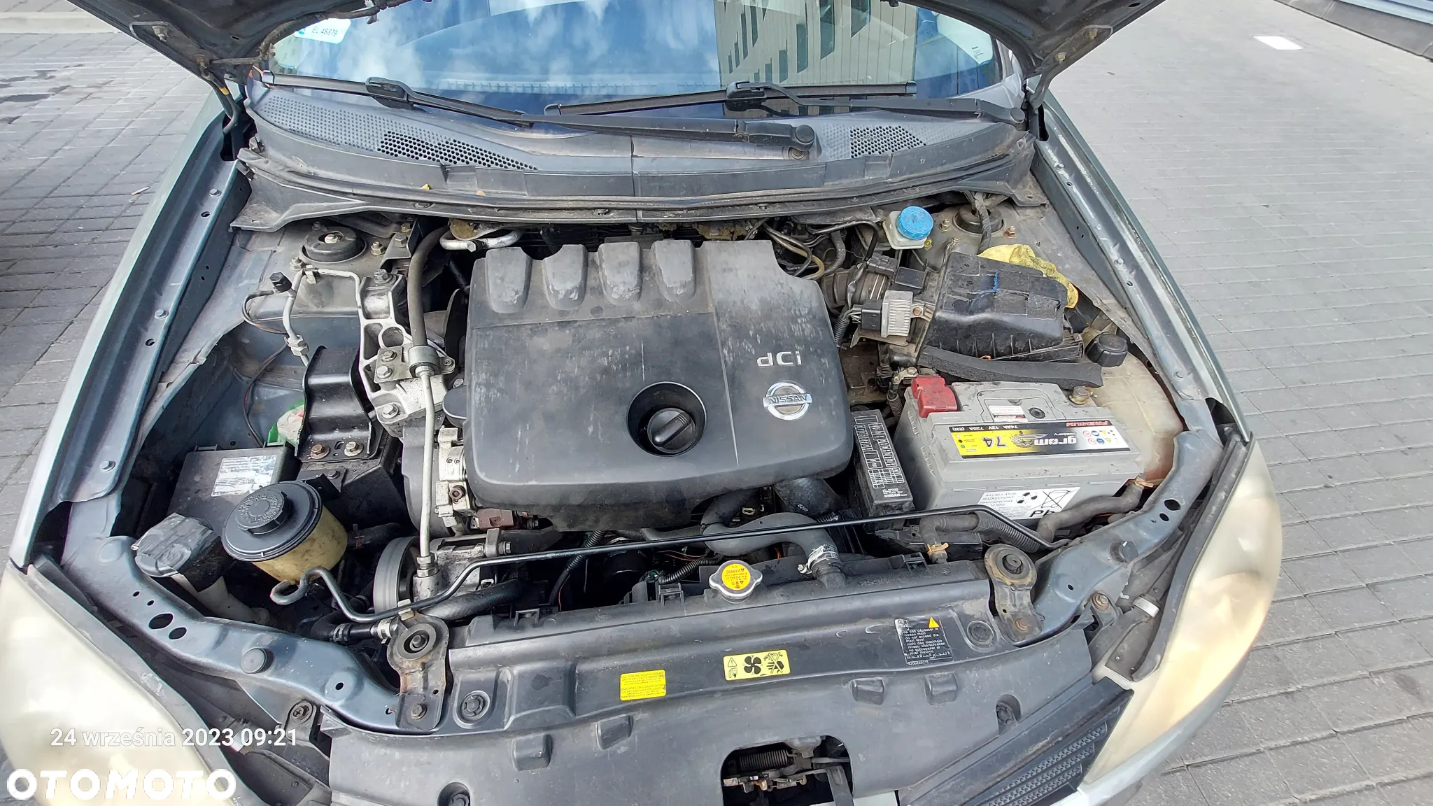 Nissan Primera - 12