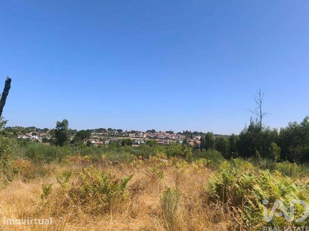 Terreno em Travancinha de 34535,00 m2 - Grande imagem: 3/22