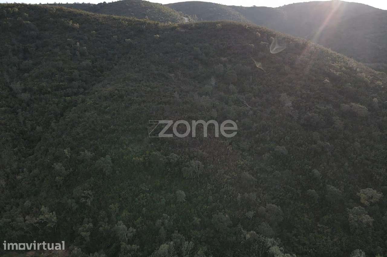 Terreno Rústico em Barranco do Talurdo com 183.520m2 - Grande imagem: 4/15