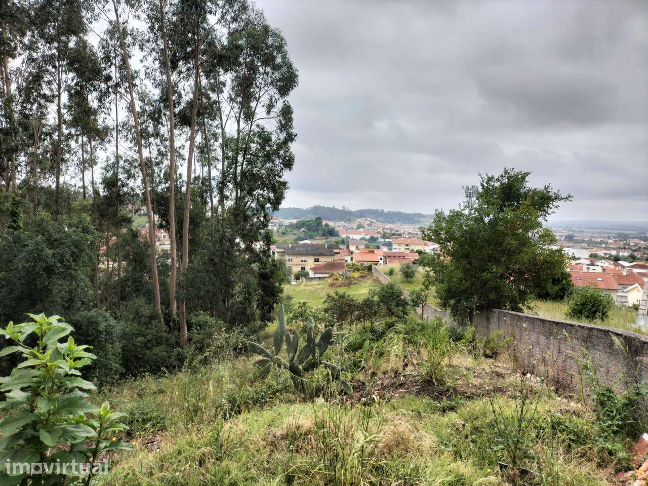 Terreno (1.434 m2)  em S. Martinho  com projeto aprovado para moradia - Grande imagem: 2/3