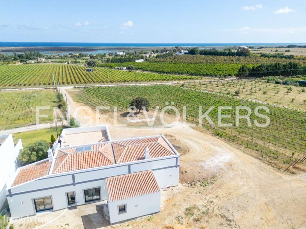 Arroio Vineyard - Grande imagem: 2/21