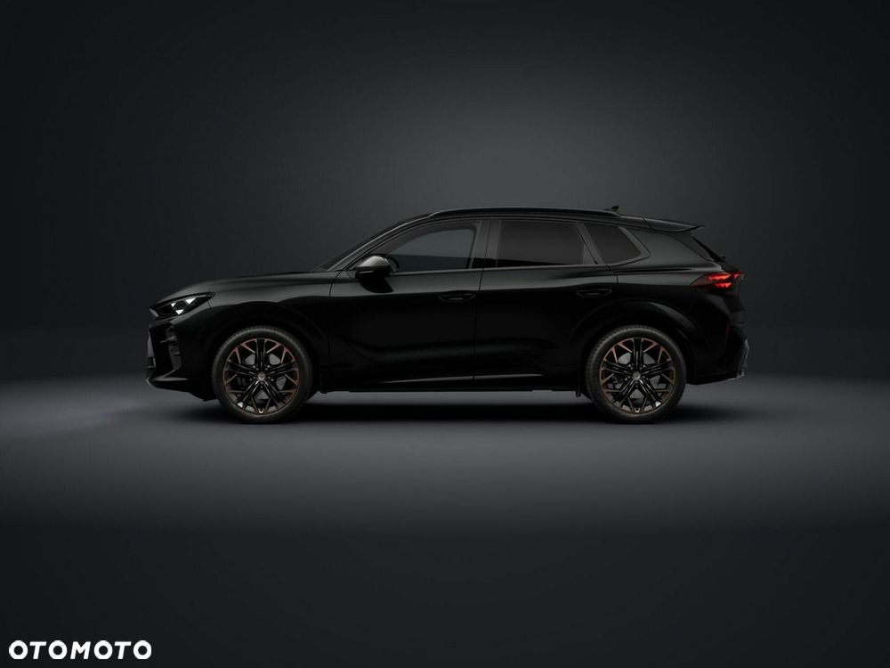 Cupra Terramar - 3