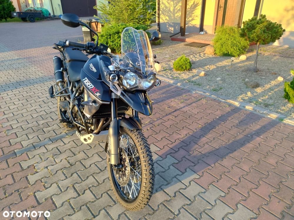 Triumph Tiger - 2