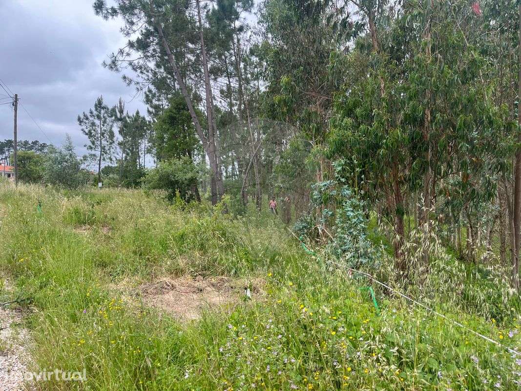 Terreno  para venda - Grande imagem: 3/4