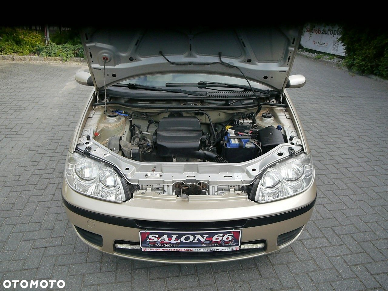 Fiat Punto - 14