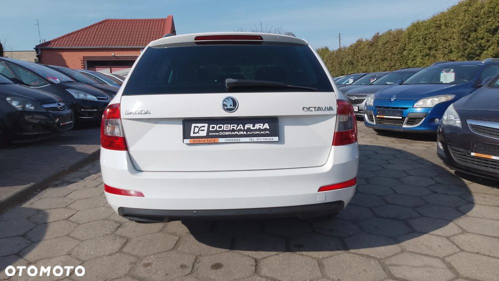 Skoda Octavia 1.6 TDI Edition - 35