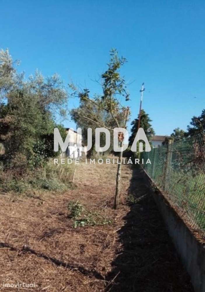 Moradia p/restauro em Alquerubim, Albergaria-a-Velha - Grande imagem: 3/3