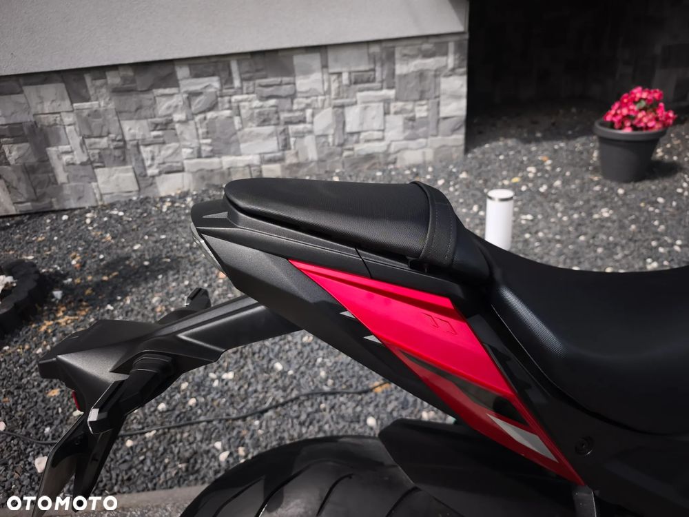 Suzuki GSX - 13