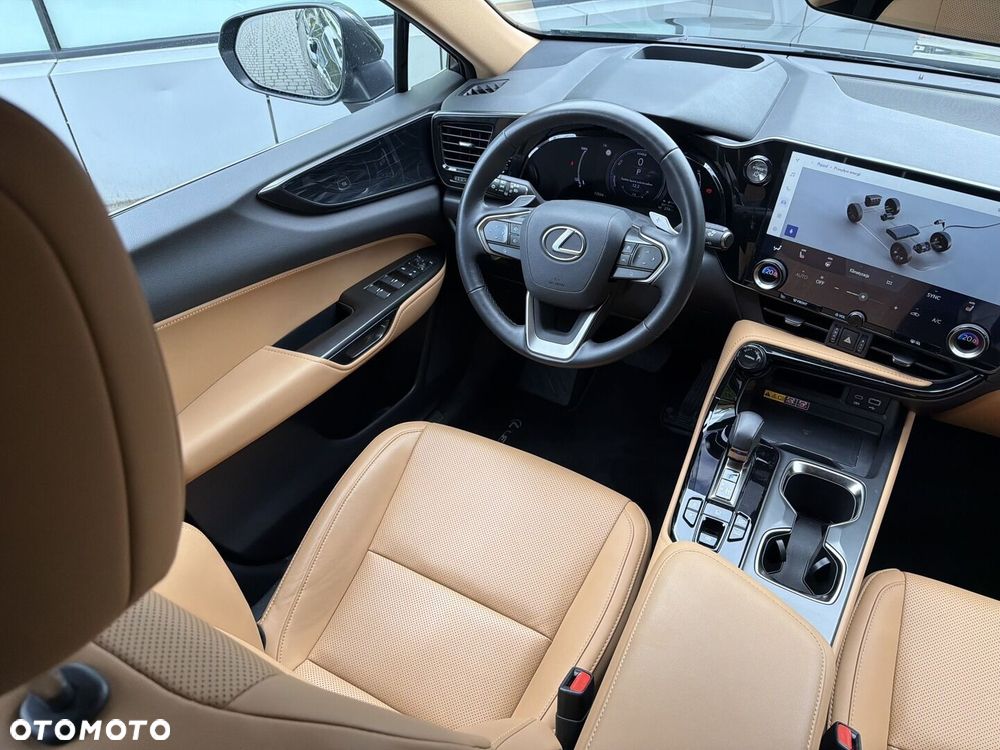 Lexus NX - 21