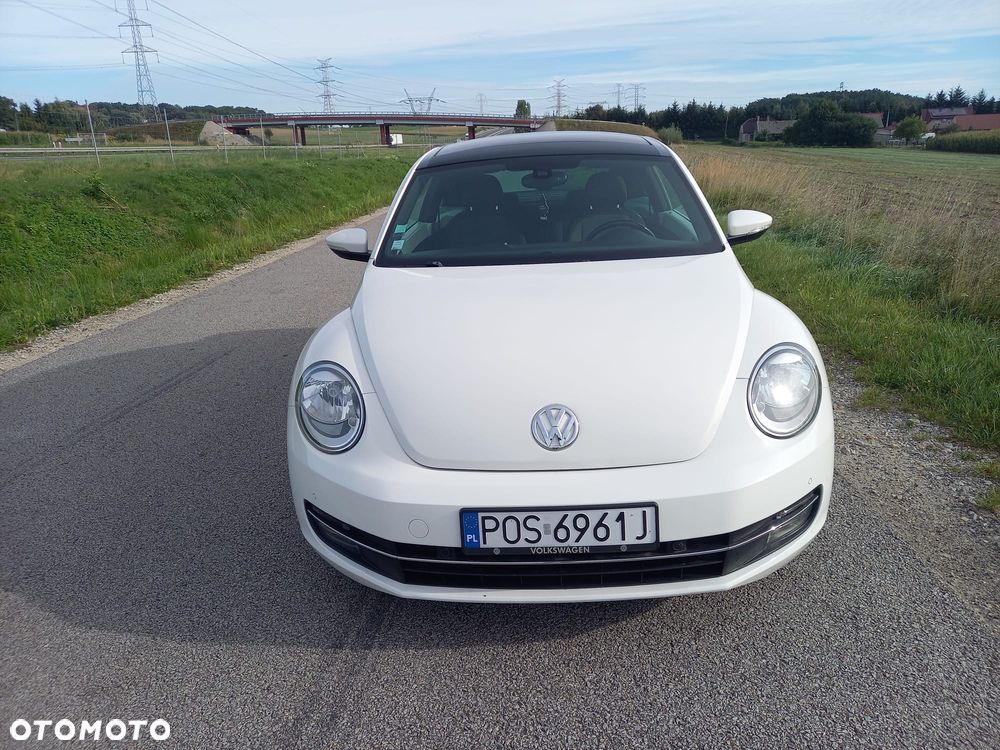 Volkswagen Beetle - 3