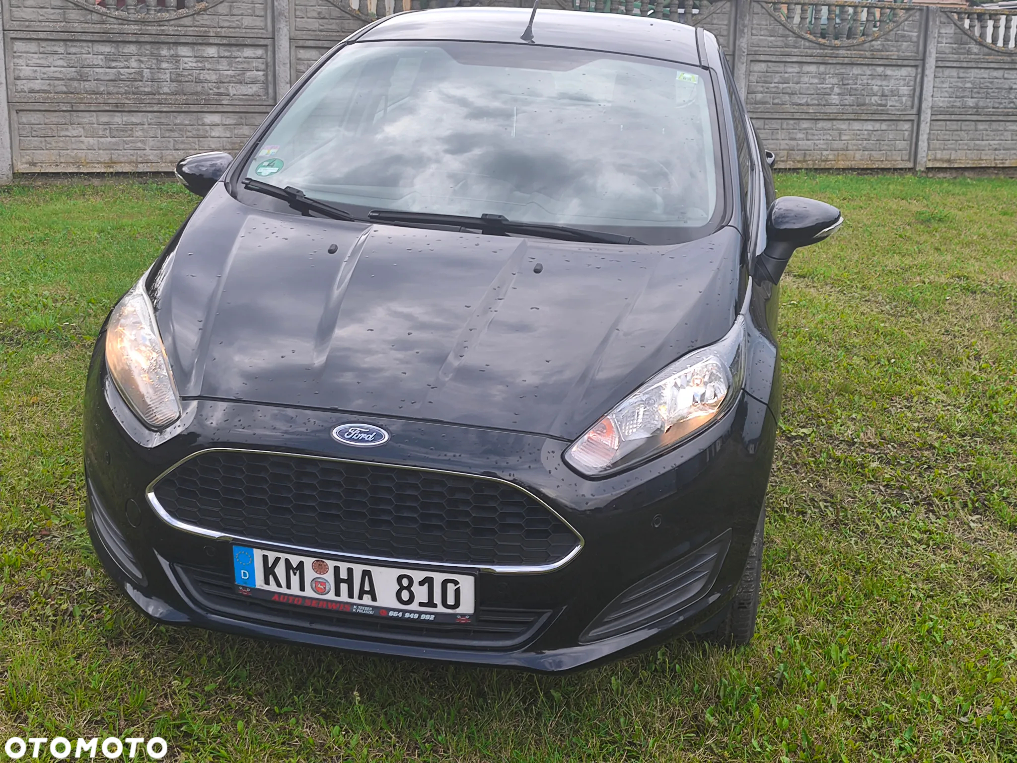 Ford Fiesta - 19