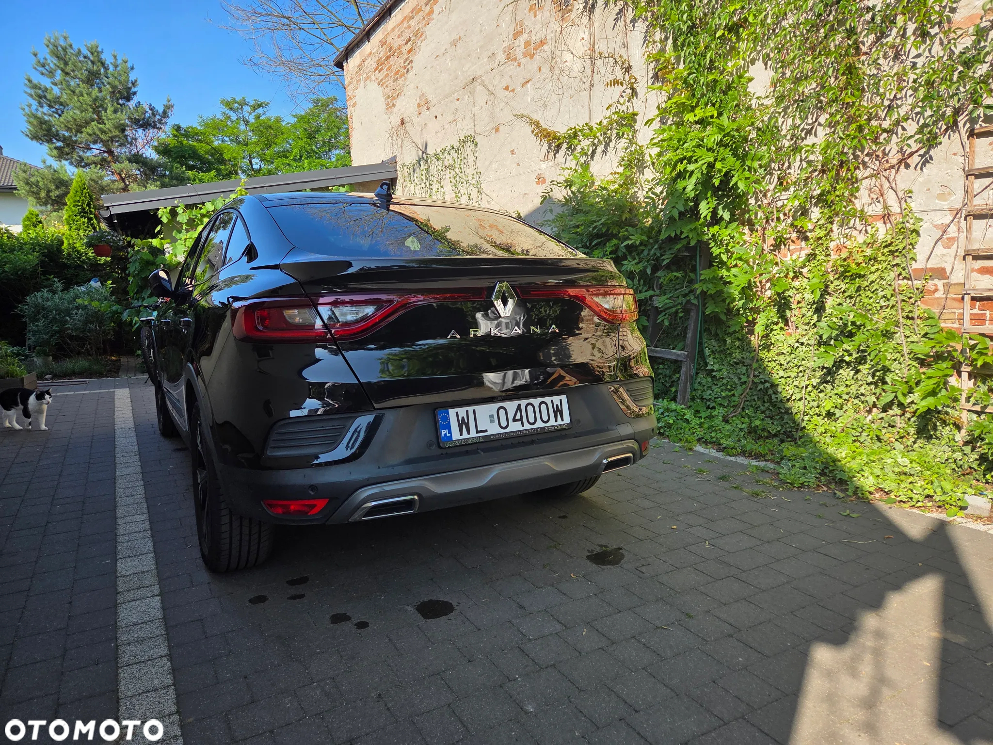 Renault Arkana - 4