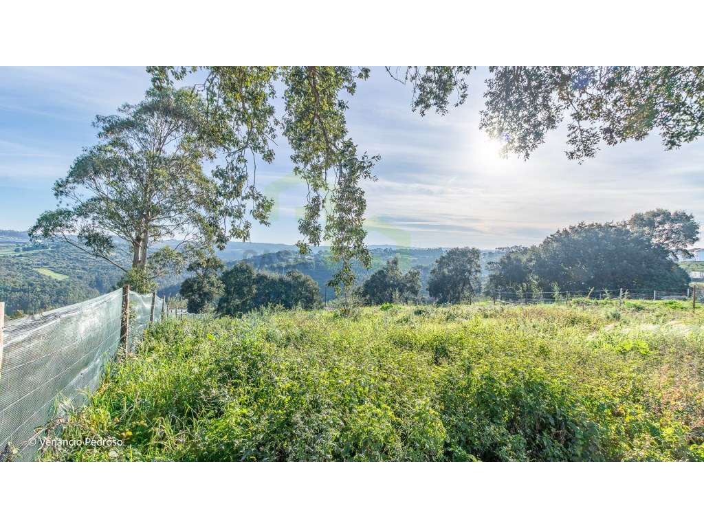 Lote - Ericeira 4 km, A Casa das Casas - Grande imagem: 4/7