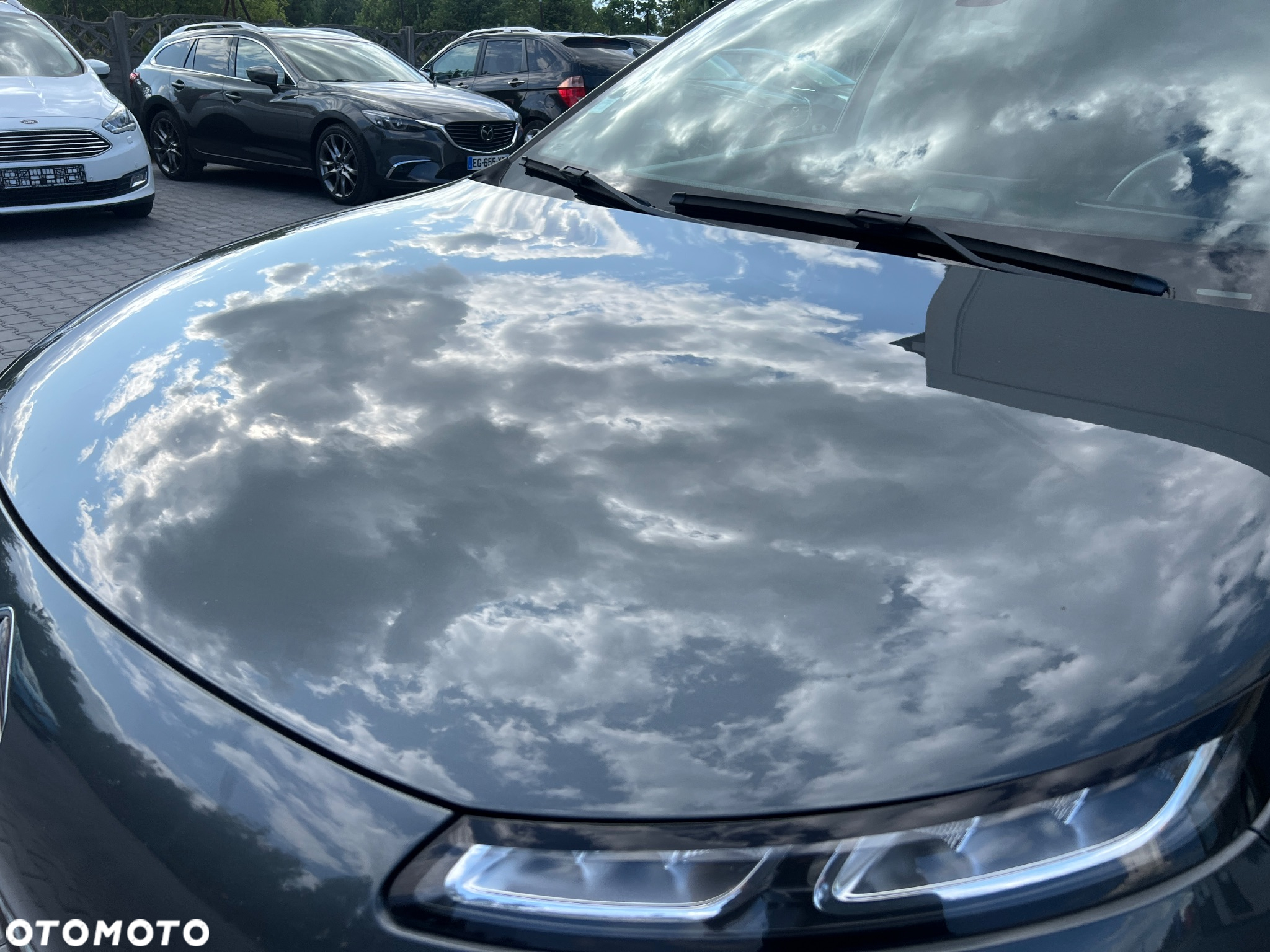 Citroën C4 Cactus 1.2 PureTech Shine Edition S&S - 9
