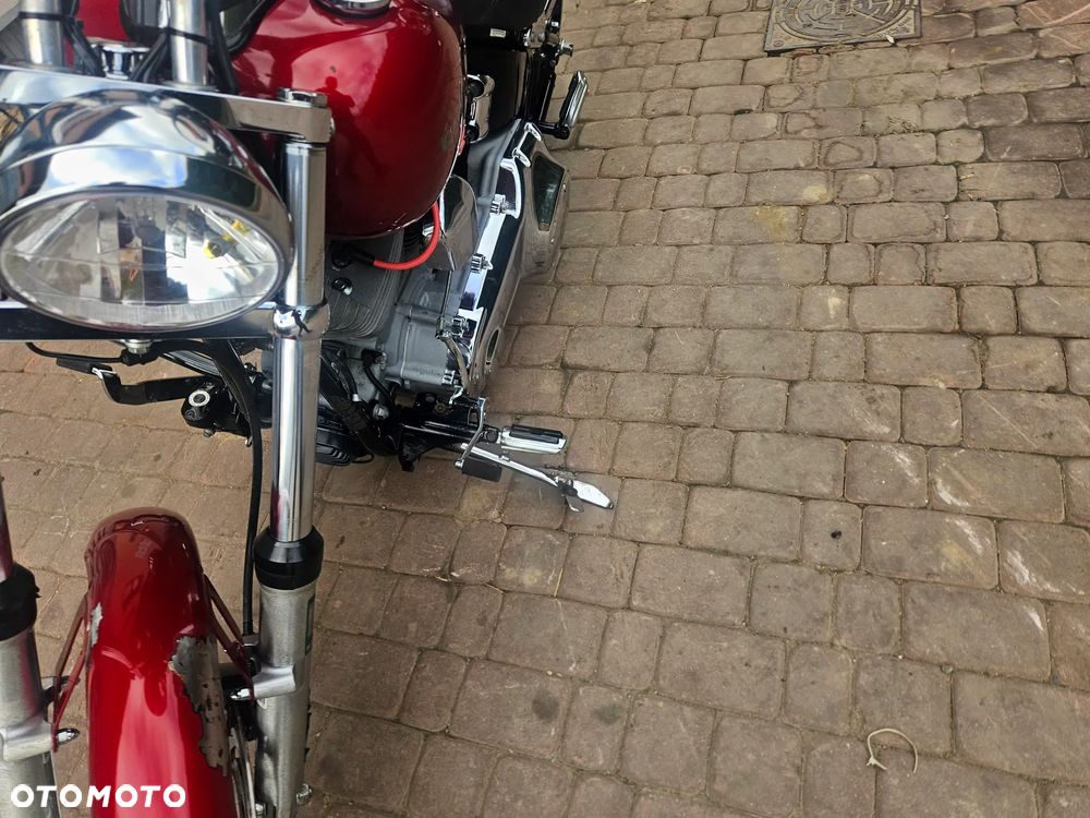 Harley-Davidson Softail Standard - 12