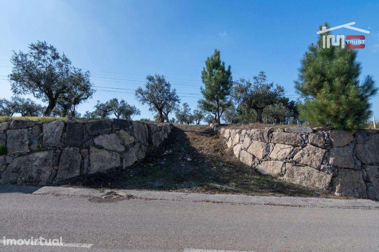 TERRENO DE CULTURA COM OLIVEIRAS EM SOBRAL DA GRANJA - Grande imagem: 2/8