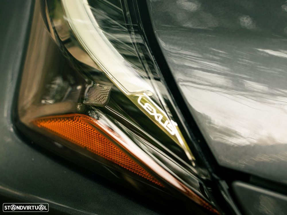 Lexus UX 300e Premium+TAE - 18