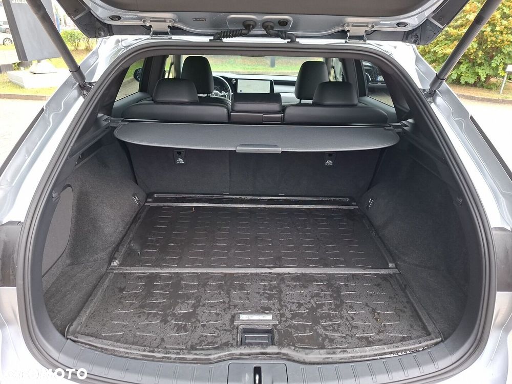 Lexus RX - 25